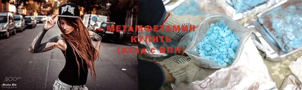 сатива Верея