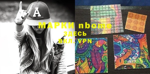сатива Верея