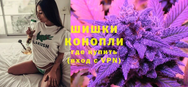 сатива Верея