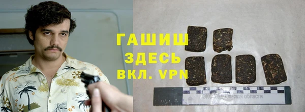 сатива Верея