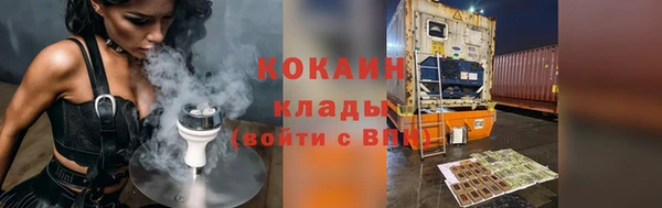 сатива Верея